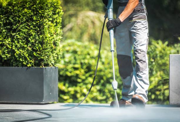 Trusted Trucksville, PA  Pressure Washing Services Experts